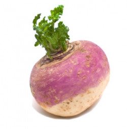 Packed Turnip, Sold By Pound