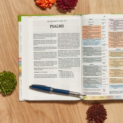 NIV Rainbow Study Bible, Jacketed Hardcover