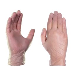AMMEX Medical Clear Vinyl Gloves | Box of 100