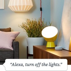 Alexa Smart Plug | A Certified for Humans Device