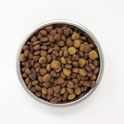 Solimo Basic Dry Dog Food with Grains | Chicken or Beef Flavor