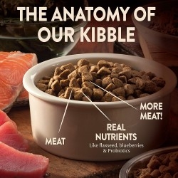 Wellness Core Natural Grain Free Dry Dog Food Small Breed