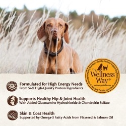 Wellness Core Natural Grain Free Dry Dog Food Small Breed