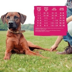 Wellness Core Natural Grain Free Dry Dog Food Small Breed