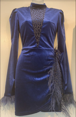 Royal Blue Velvet Feathered Dress