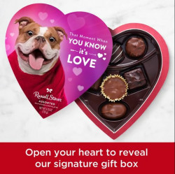 Russell Stover Valentine's Day Meme Heart Assorted Milk & Dark Chocolate Gift Box, 4.3 Oz. (7 Pieces)