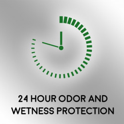 Speed Stick Irish Spring Antiperspirant Deodorant, Original, 2.7 oz