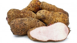 TARO ROOT fresh vegetable sold by pound