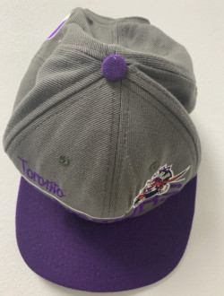 Toronto Raptors NBA Purple & Grey Cap