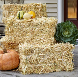 Way To Celebrate Decorative Straw Bale Natural