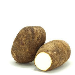 White Ñame Root sold by pound