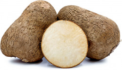 White Ñame Root Sold By Pound