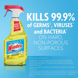 Windex Multi-Surface Cleaner And Disinfectant Spray Bottle, Scent, Citrus Fresh