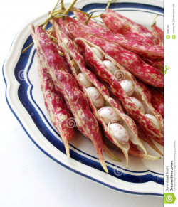 Young red beans packed | per lb